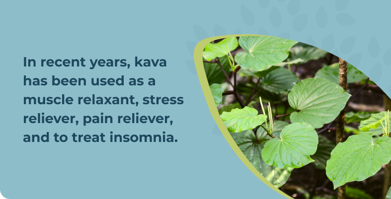 In recent years, kava has been used as a muscle relaxant, stress reliever, pain reliever, and to treat insomnia